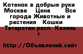 Котенок в добрые руки. Москва. › Цена ­ 5 - Все города Животные и растения » Кошки   . Татарстан респ.,Казань г.